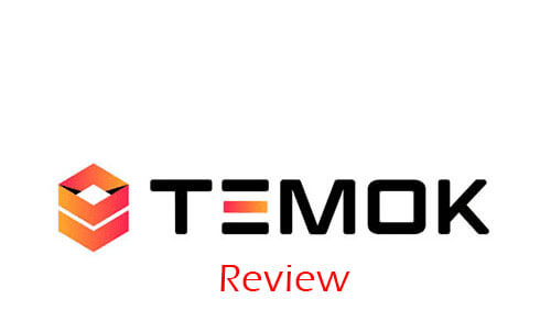 TEMOK review hostingguiders