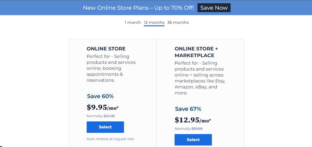 Bluehost Online Store Hosting Plan